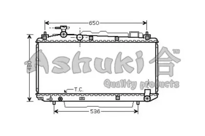 ashuki-t78903