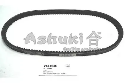 ashuki-v130825