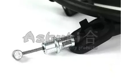 ashuki-y09037