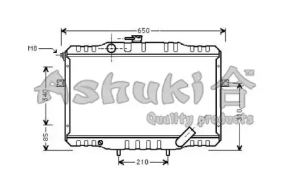 ashuki-y55001
