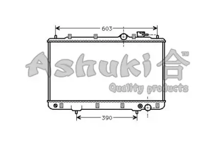 ashuki-y55026
