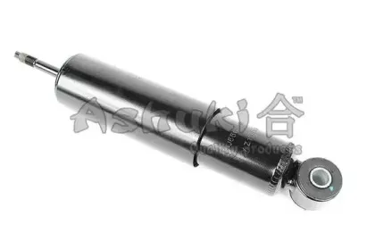 ashuki-y62516