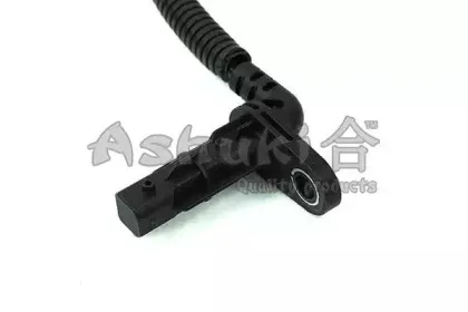 ashuki-y87716