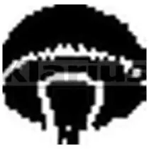 klarius-420237
