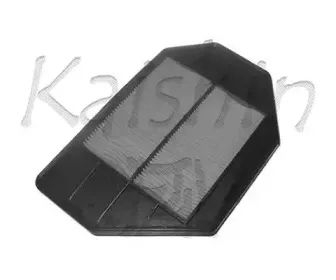 kaishin-a891