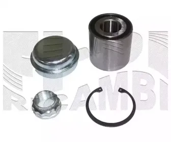 caliber-rc10230