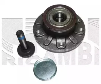 caliber-rc1069