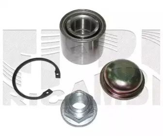 caliber-rc4411