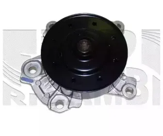caliber-wpc310