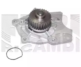 caliber-wpc464