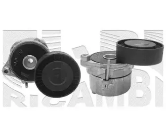 caliber-20562