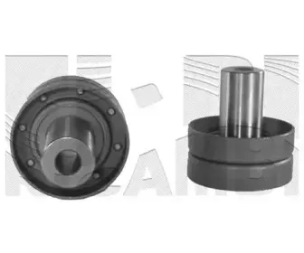 caliber-46161