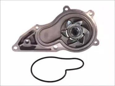 D1Y072TT THERMOTEC Водяной насос