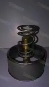 D2RV005TT THERMOTEC Термостат, охлаждающая жидкость