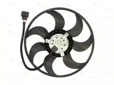 thermotec-d8w030tt