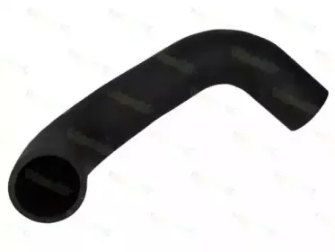 DCG027TT THERMOTEC Трубка нагнетаемого воздуха