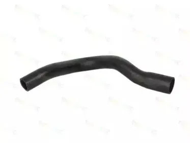 DWF062TT THERMOTEC Шланг радиатора