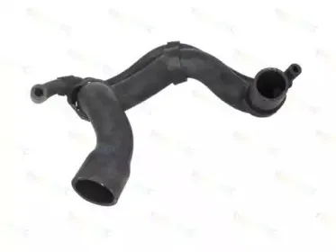DWM028TT THERMOTEC Шланг радиатора