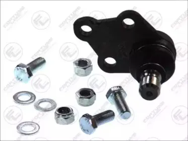 FZ3143 FORTUNE LINE