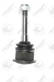 FZ3181 FORTUNE LINE
