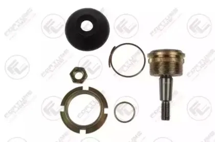 FZ3367 FORTUNE LINE