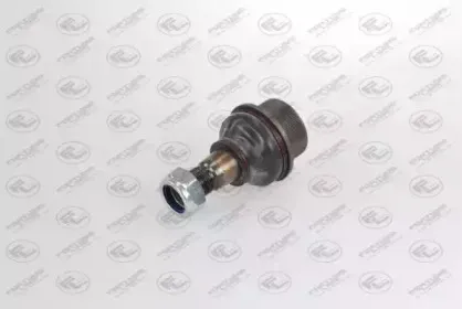 FZ3826 FORTUNE LINE