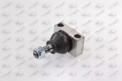 FZ3830 FORTUNE LINE