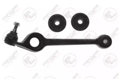 FZ5021 FORTUNE LINE