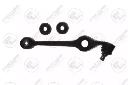 FZ5023 FORTUNE LINE