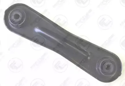FZ5101 FORTUNE LINE