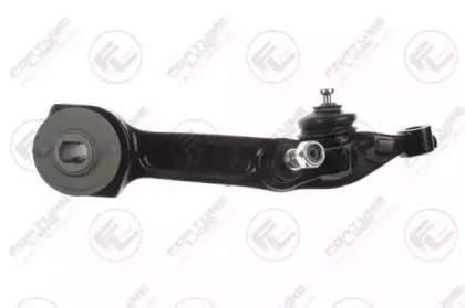 FZ5212 FORTUNE LINE