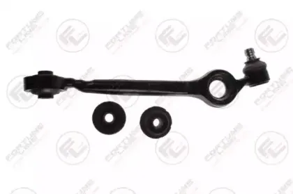 FZ5521 FORTUNE LINE