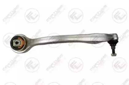 FZ5529 FORTUNE LINE