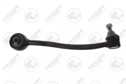 FZ5577 FORTUNE LINE