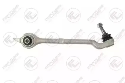 FZ5580 FORTUNE LINE