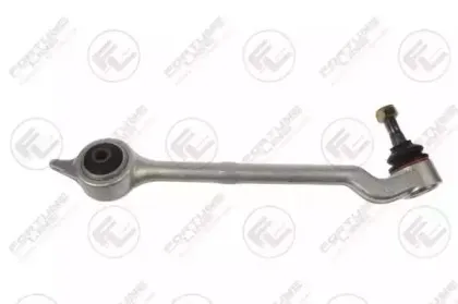 FZ5581 FORTUNE LINE