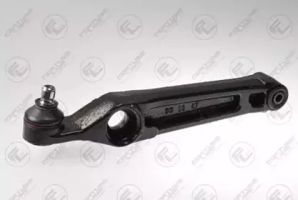 FZ5734 FORTUNE LINE