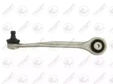 FZ5761 FORTUNE LINE