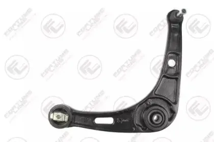 FZ6111 FORTUNE LINE