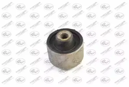FZ90368 FORTUNE LINE