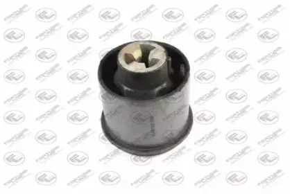 FZ90396 FORTUNE LINE