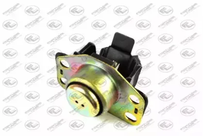 FZ90442 FORTUNE LINE