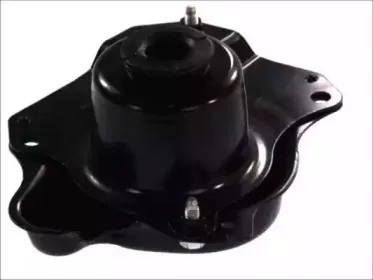 FZ90476 FORTUNE LINE