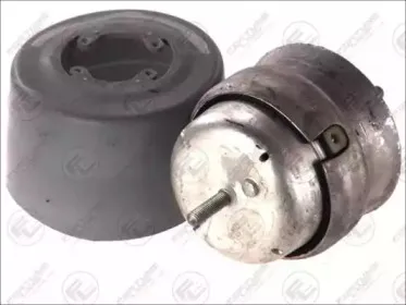 FZ90488 FORTUNE LINE