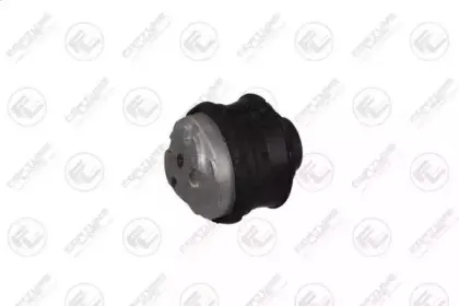FZ90540 FORTUNE LINE