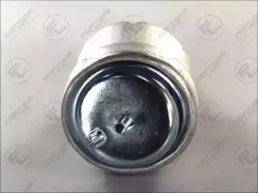 FZ90548 FORTUNE LINE Подвеска, двигатель