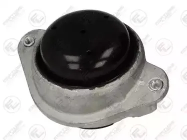 FZ90713 FORTUNE LINE