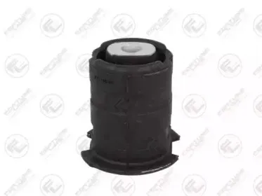 FZ91062 FORTUNE LINE