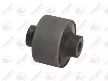 FZ91258 FORTUNE LINE