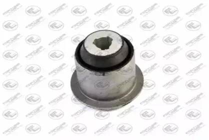FZ9343 FORTUNE LINE